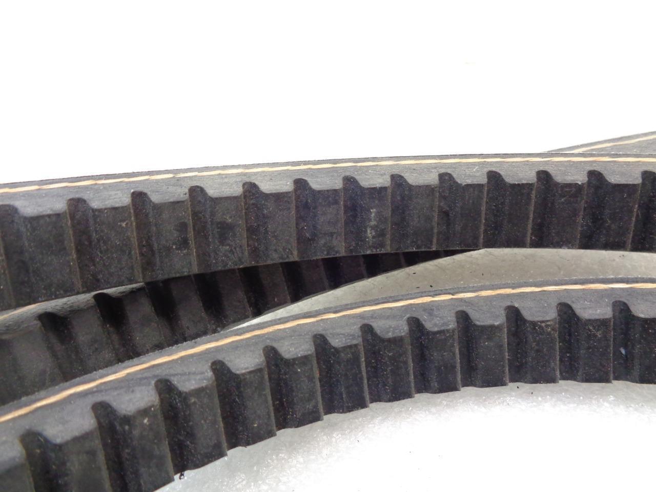 NEW DAYCO CX81 ACCESSORY COGGED DRIVE BELT (FOR VARIOUS FITMENTS) R15