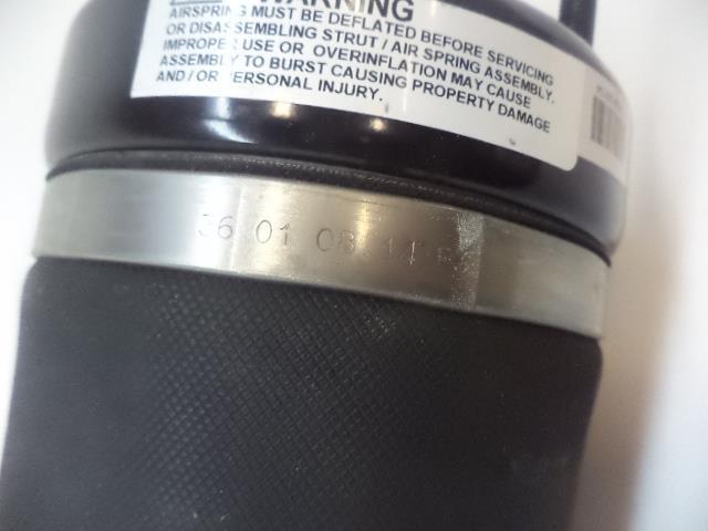 NEW GENUINE MERCEDES-BENZ FRONT SHOCK ABSORBER A164320611380 R35