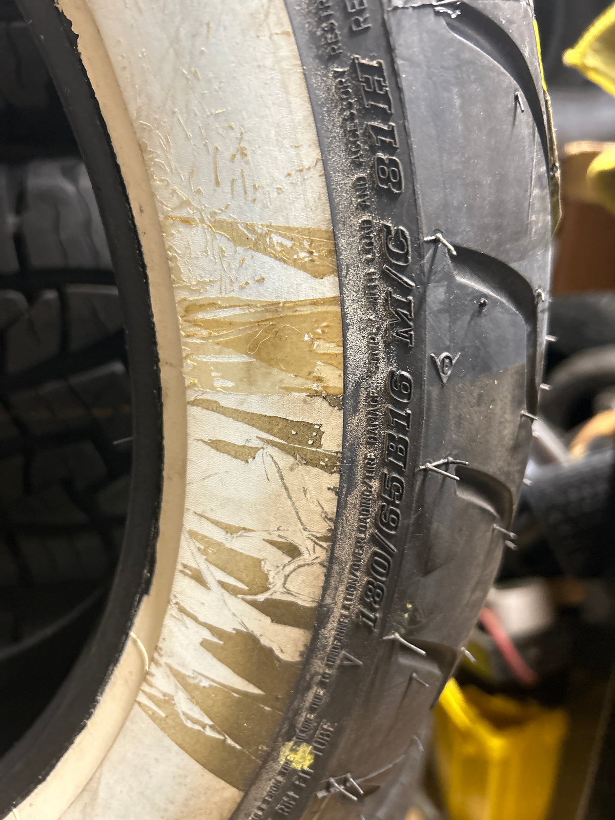 DUNLOP AMERICAN ELITE WWW 180 65 16 81H REAR MOTORCYCLE TIRE 45131150