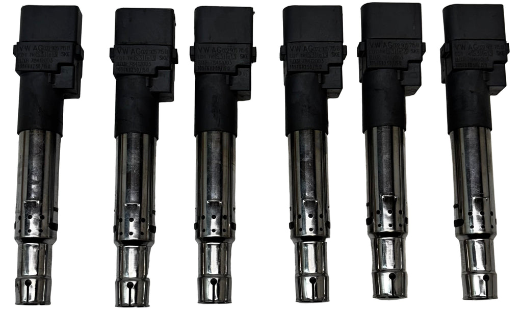 6 VOLKSWAGEN IGNITION COILS VW/AUDI / PORSCHE / VR6 / 3.2L / 3.6L 022-905-715B
