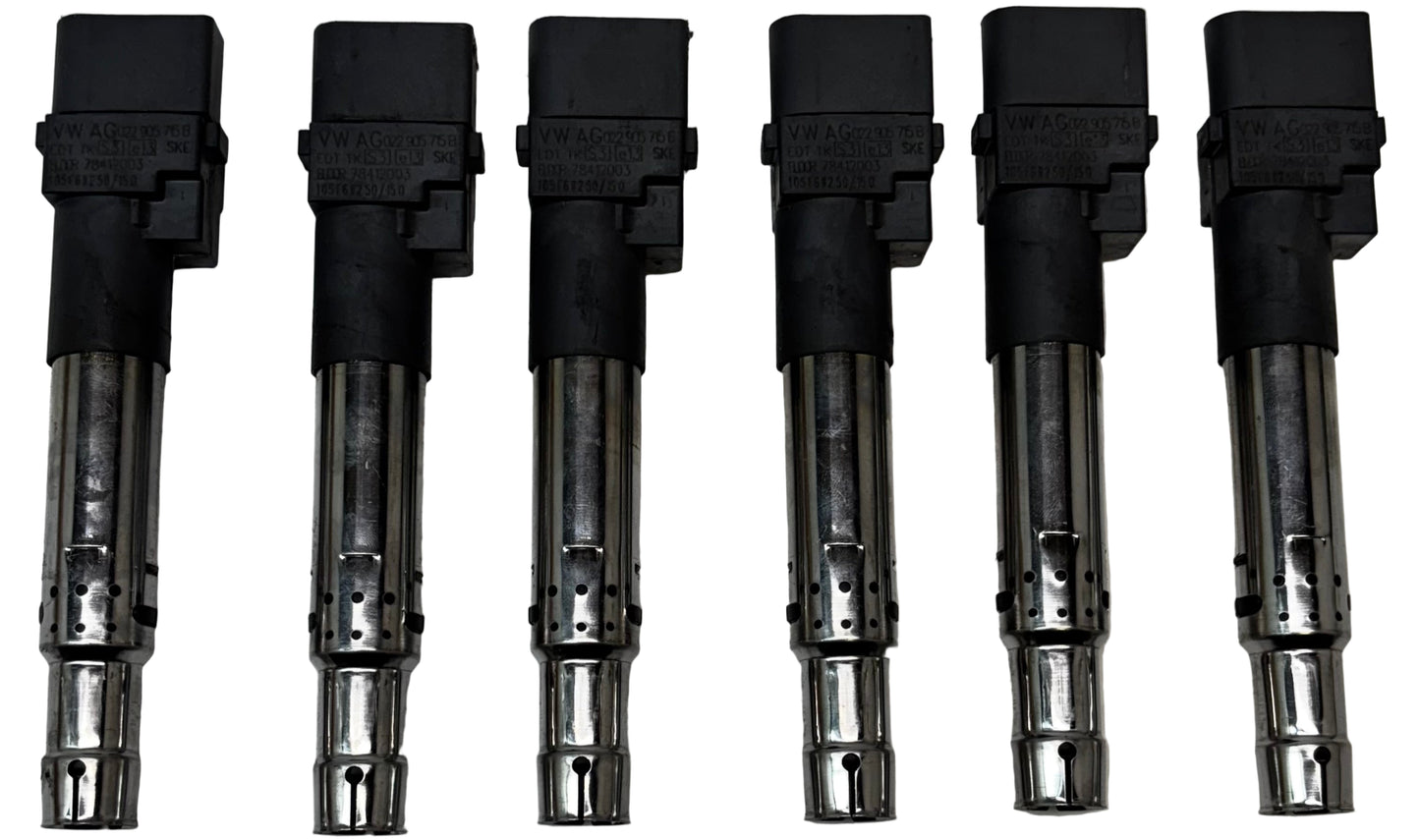 6 VOLKSWAGEN IGNITION COILS VW/AUDI / PORSCHE / VR6 / 3.2L / 3.6L 022-905-715B
