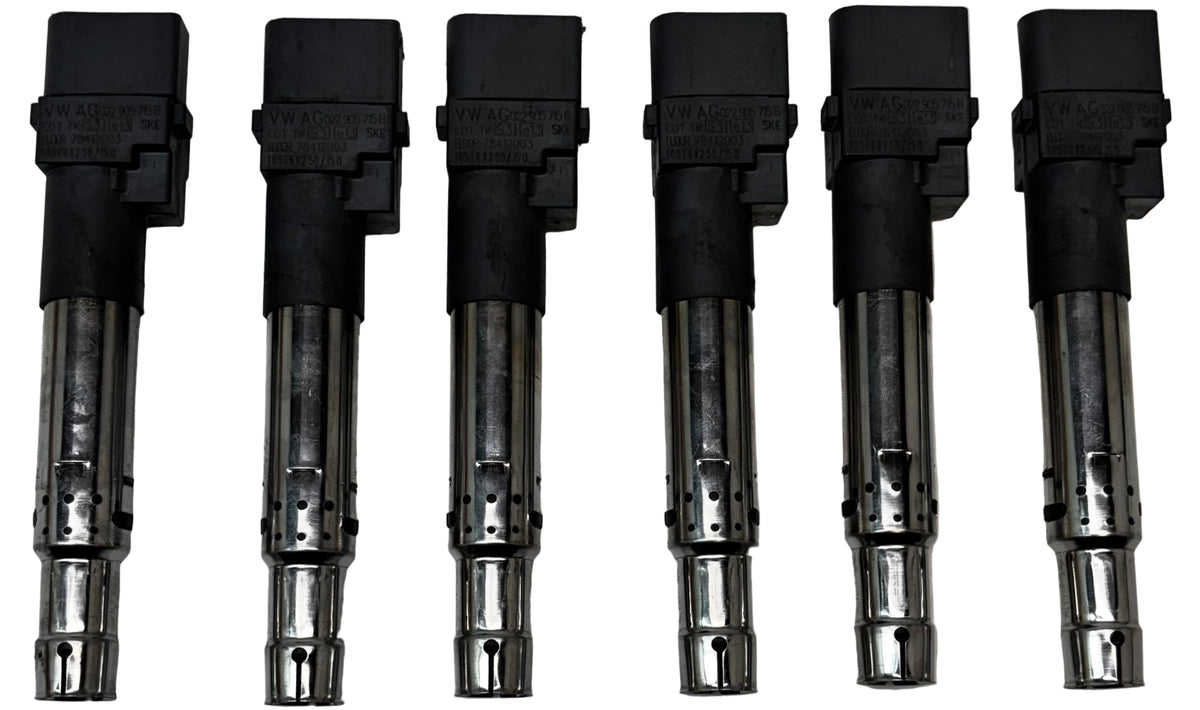 6 VOLKSWAGEN IGNITION COILS VW/AUDI / PORSCHE / VR6 / 3.2L / 3.6L 022-905-715B