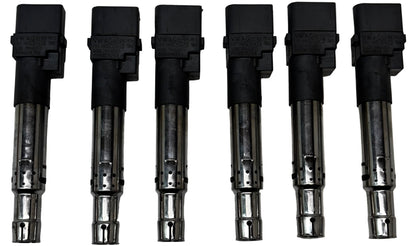 6 VOLKSWAGEN IGNITION COILS VW/AUDI / PORSCHE / VR6 / 3.2L / 3.6L 022-905-715B