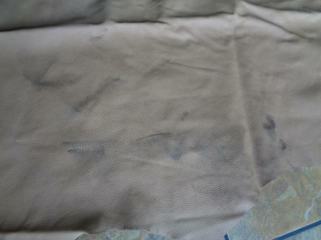 Leather Hide 39.28 Square Feet 3.65 Square Meters Beige NEW SR