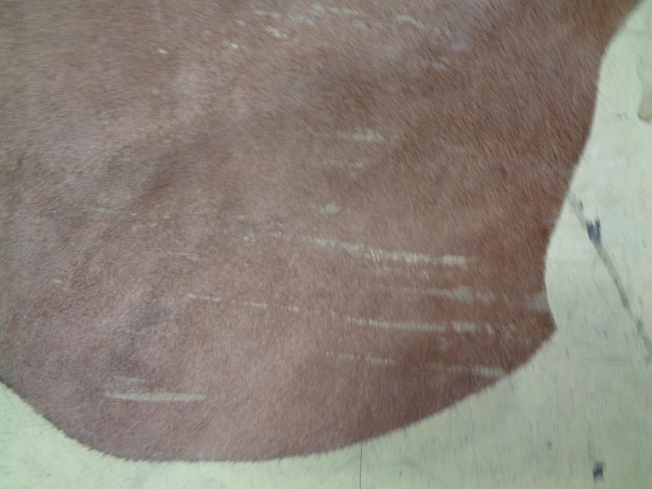 LEATHER HIDE 36.94 SQUARE FEET 3.43 SQUARE METERS TAN NEW N.1 SR