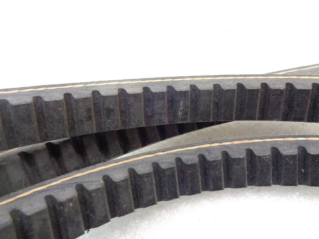 NEW DAYCO CX81 ACCESSORY COGGED DRIVE BELT (FOR VARIOUS FITMENTS) R15