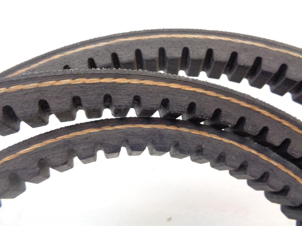 NEW DAYCO CX81 ACCESSORY COGGED DRIVE BELT (FOR VARIOUS FITMENTS) R15