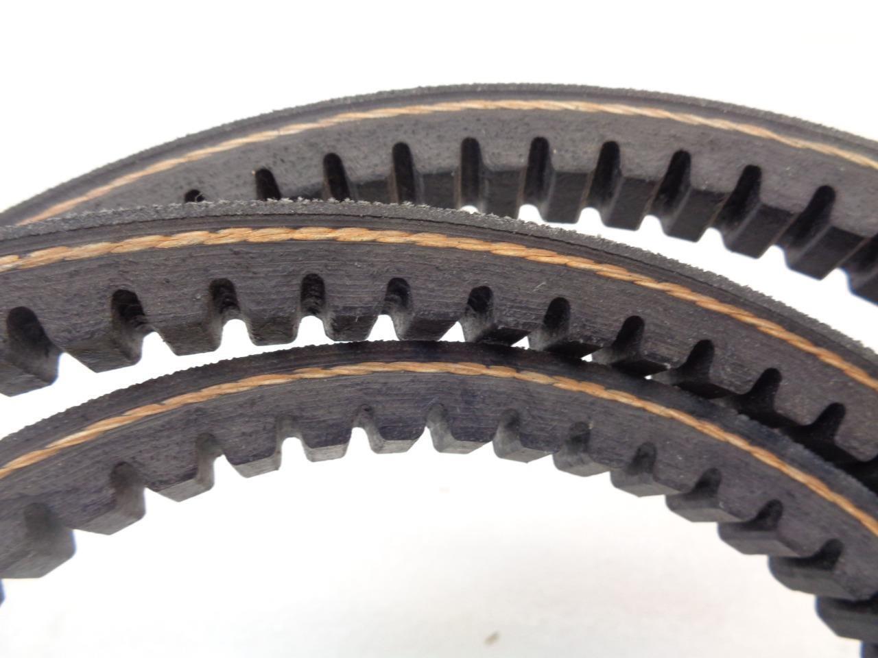 NEW DAYCO CX81 ACCESSORY COGGED DRIVE BELT (FOR VARIOUS FITMENTS) R15