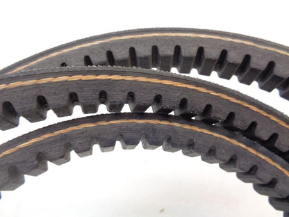 NEW DAYCO CX81 ACCESSORY COGGED DRIVE BELT (FOR VARIOUS FITMENTS) R15