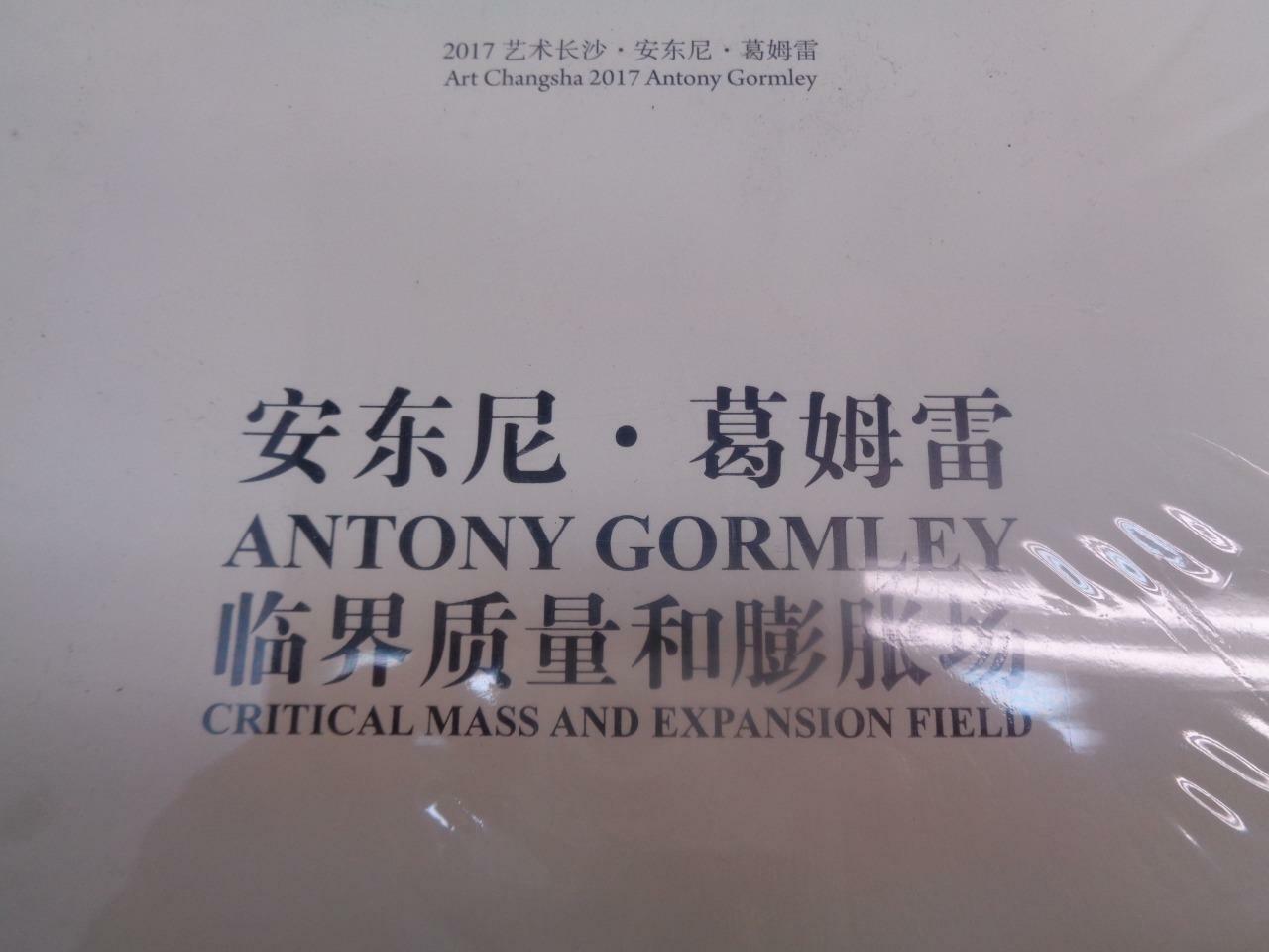 NEW ANTONY GORMLEY CRITICAL MASS AND EXPANSION FIELD BOOK SR