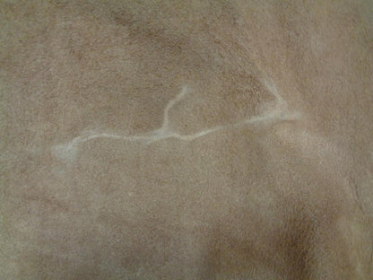 LEATHER HIDE 36.94 SQUARE FEET 3.43 SQUARE METERS TAN NEW N.1 SR