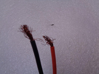 NEW JABSCO CENTRI PUPPY CENTRIFUGAL PUMP 18510-0021 IGNITION PROTECTED MOTOR R13