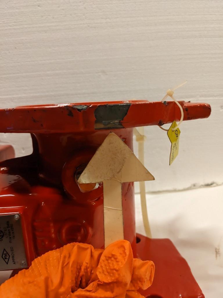 Tyco TJRX 3 Inch Fire Main Gate Valve 300 Psi NEW BSIG1