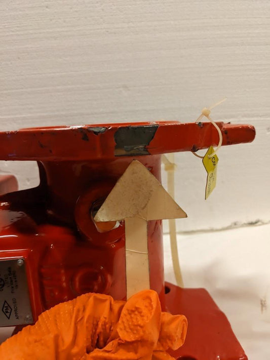 Tyco TJRX 3 Inch Fire Main Gate Valve 300 Psi NEW BSIG1