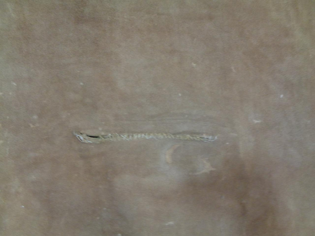 LEATHER HIDE 36.94 SQUARE FEET 3.43 SQUARE METERS TAN NEW N.1 SR