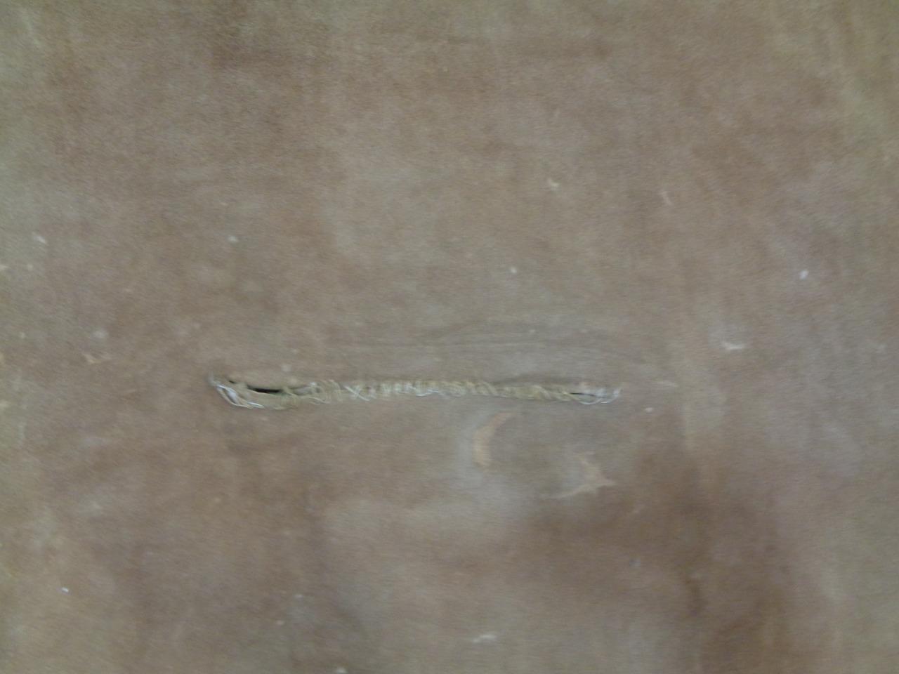 LEATHER HIDE 36.94 SQUARE FEET 3.43 SQUARE METERS TAN NEW N.1 SR