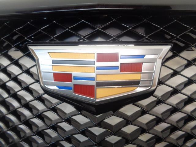 New Cadillac Grille in Midnight Silver (For vehicle w/o Surround vision) R32