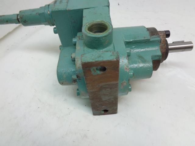 NEW SWEDENBORG HYDRAULIC PUMP TPE: K1GG (SERIES 18109) 1B117 R 12276 R34