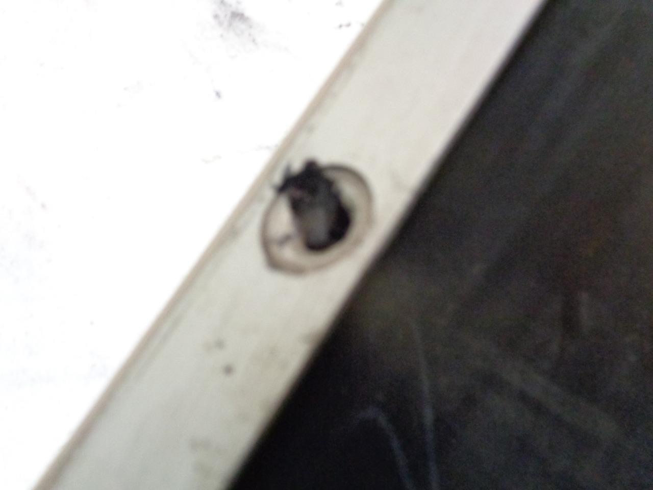 Porsche 928 1988 Rocker Panel 928 559 085 02 DRIVER GOLD USED GENUINE R23