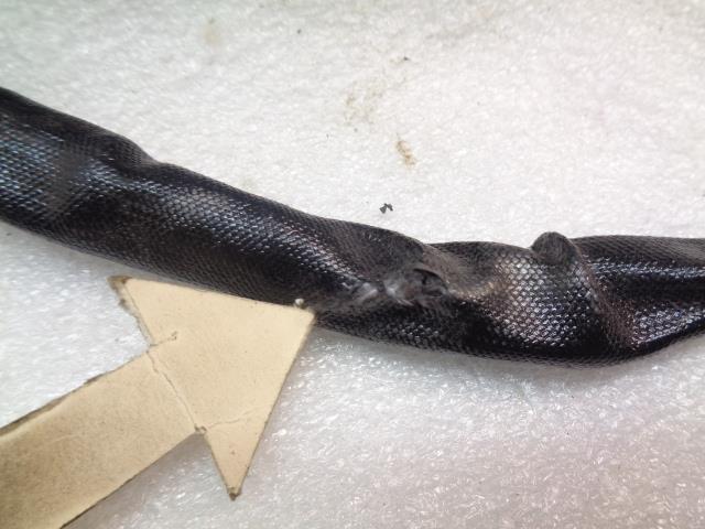 CUMMINS HOLSET 4352320 TURBOCHARGER HE500VG WITH ACTUATOR FOR QSX REMAN E1