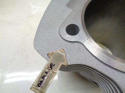 1 PAIR OF HARLEY DAVIDSON CYLINDER HEAD JUGS B69 C4 1659 3-99 R15