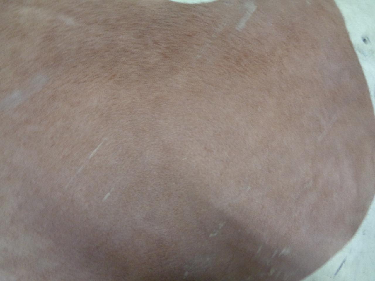 LEATHER HIDE 39.28 SQUARE FEET/3.65 SQUARE METERS TAN NEW N.3 SR