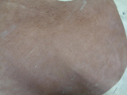 LEATHER HIDE 39.28 SQUARE FEET/3.65 SQUARE METERS TAN NEW N.3 SR