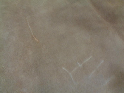 TAN LEATHER HIDE 43.48 SQUARE FEET/4.04 SQUARE METERS NEW N.2 SR