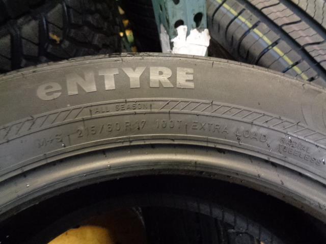 NEW OLD STOCK NOKIAN ENTYRE P 215 60 17 100T XL ALL SEASON TIRE T427918 AQ4