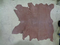 LEATHER HIDE 36.94 SQUARE FEET 3.43 SQUARE METERS TAN NEW N.1 SR