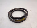 NEW DAYCO CX81 ACCESSORY COGGED DRIVE BELT (FOR VARIOUS FITMENTS) R15