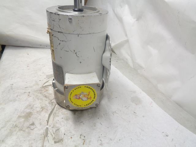 LEESON WASHGUARD C145T17WK7C G120588.00 3 PHASE MOTOR NEW J1
