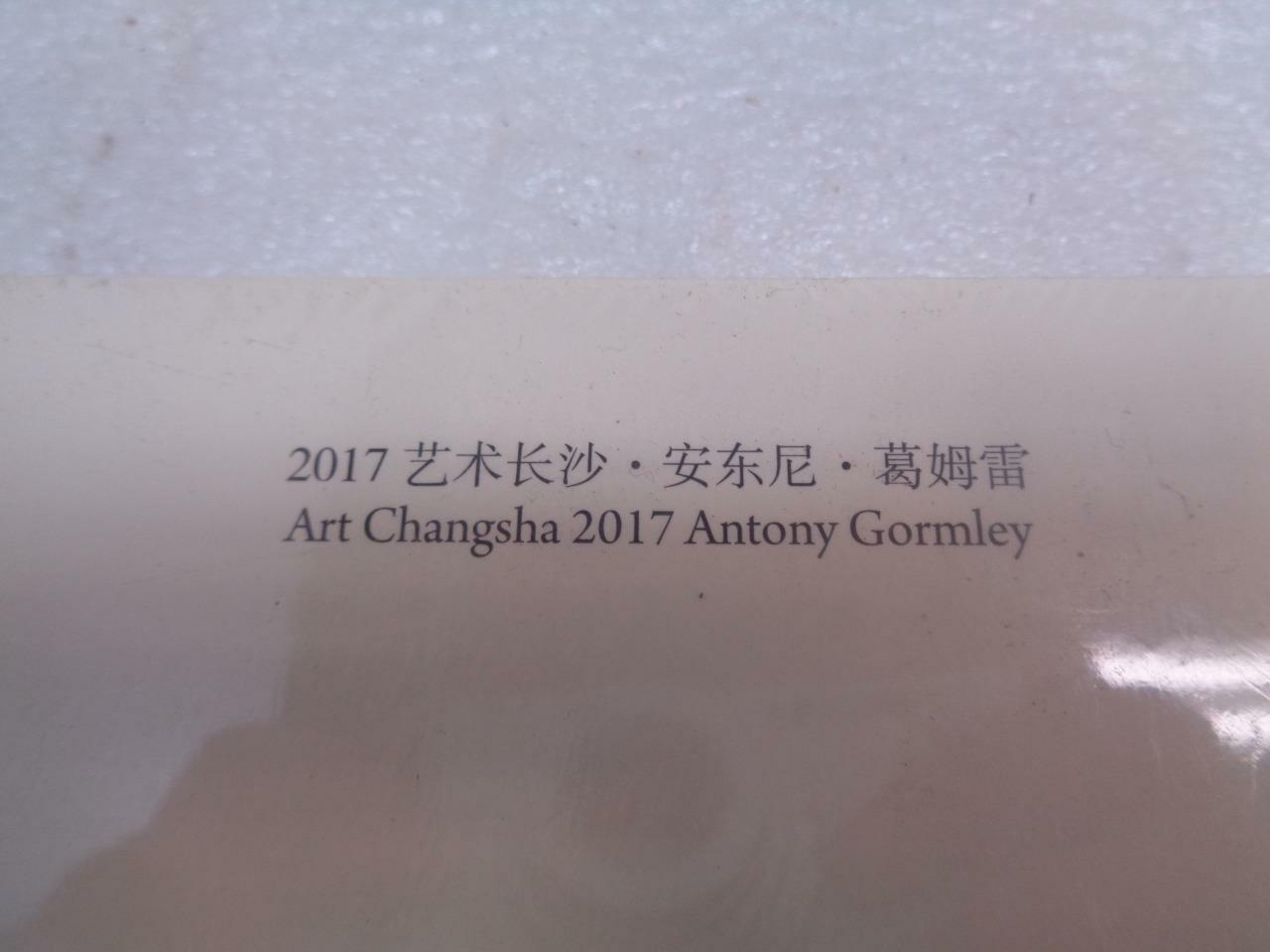 NEW ANTONY GORMLEY CRITICAL MASS AND EXPANSION FIELD BOOK SR