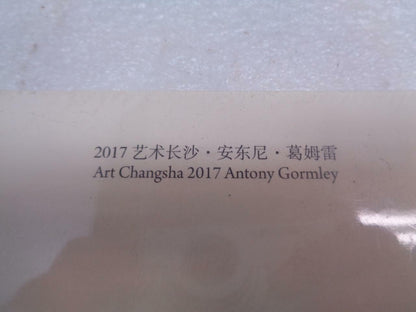 NEW ANTONY GORMLEY CRITICAL MASS AND EXPANSION FIELD BOOK SR