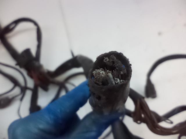 Porsche 928 Light Harness '87-'91 USED GENUINE 928 612 001 27 R23T6