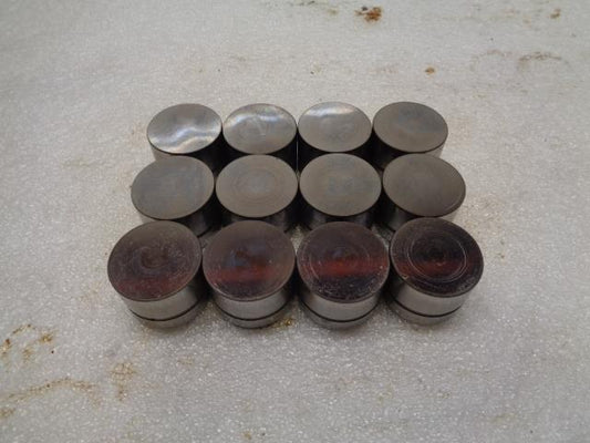 Porsche Boxster/996 Hydraulic Lifter Set of 12 996 105 041 72 USED GENUINE R24T6