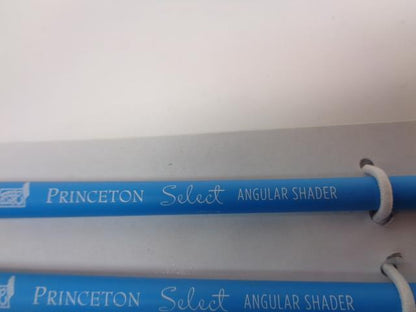 NEW PRINCETON SHORT HANDLE 3750 3/4 INCH OVAL WASH 12 PACK 3750AS R28