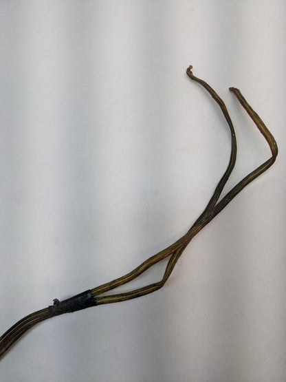 REAR DECK SPEAKER BOX FOR 1978-1998 PORSCHE 911 USED R24