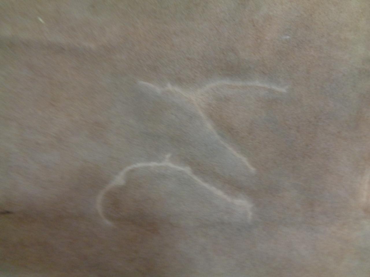 LEATHER HIDE 36.94 SQUARE FEET 3.43 SQUARE METERS TAN NEW N.1 SR