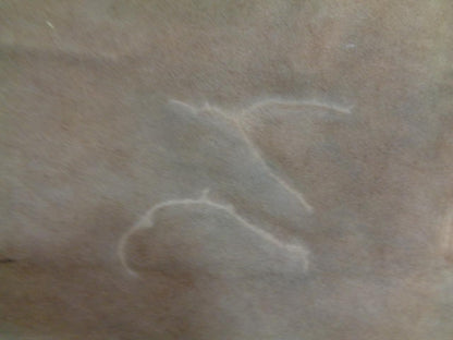 LEATHER HIDE 36.94 SQUARE FEET 3.43 SQUARE METERS TAN NEW N.1 SR