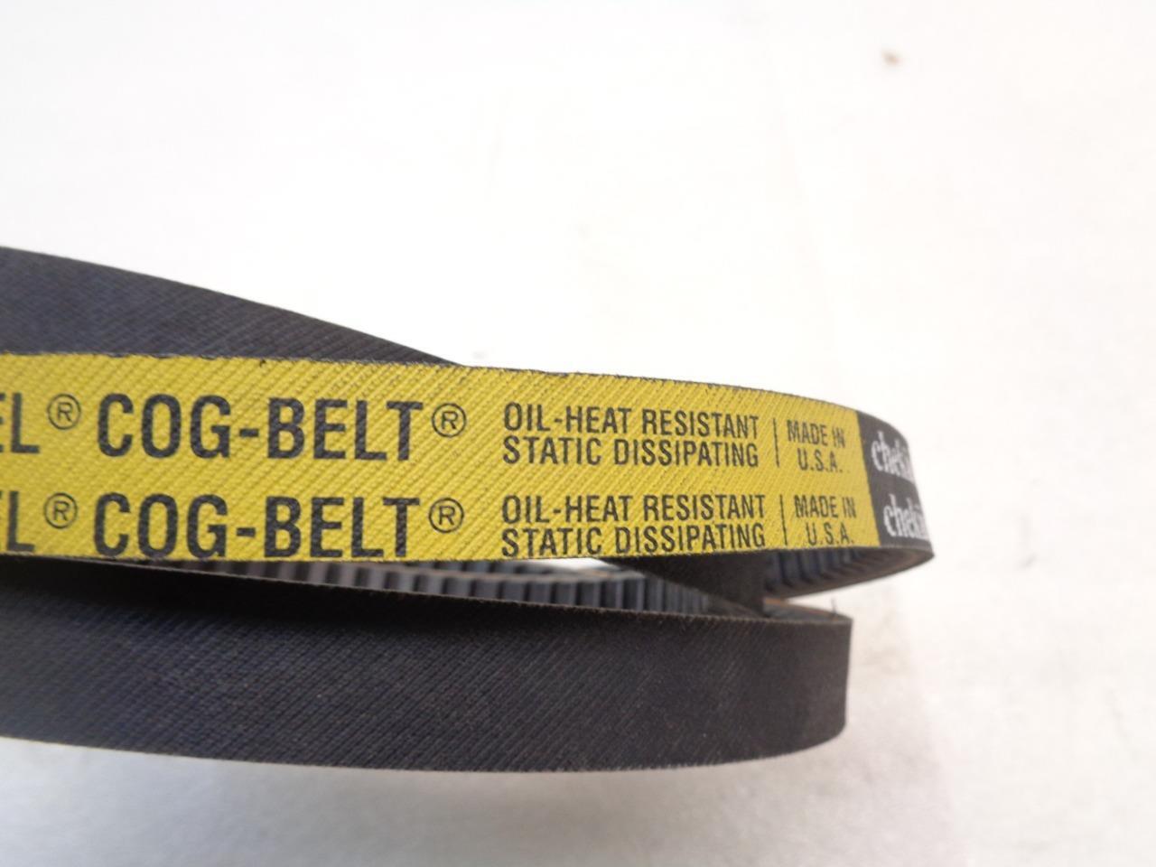 NEW DAYCO CX81 ACCESSORY COGGED DRIVE BELT (FOR VARIOUS FITMENTS) R15