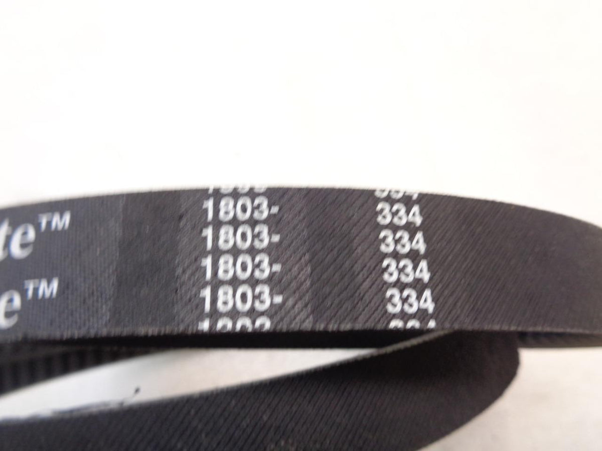 NEW DAYCO CX81 ACCESSORY COGGED DRIVE BELT (FOR VARIOUS FITMENTS) R15