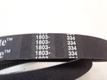 NEW DAYCO CX81 ACCESSORY COGGED DRIVE BELT (FOR VARIOUS FITMENTS) R15