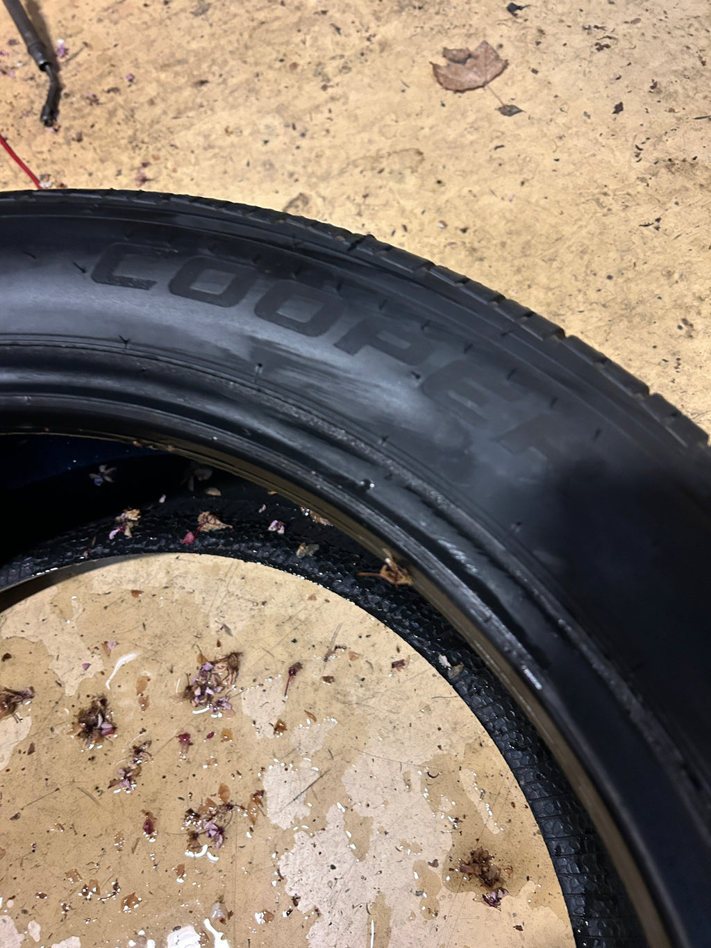 COOPER PROCONTROL BSW P 255 45 19 104V XL ALL SEASON TIRE 166446021