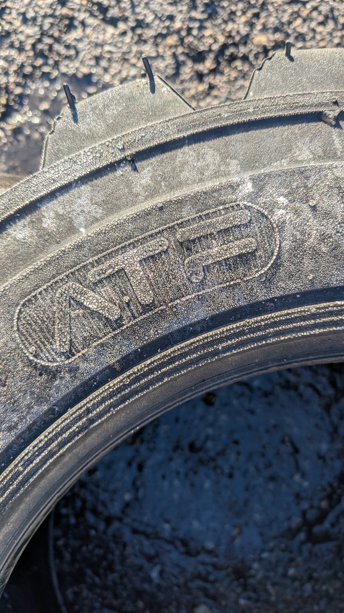 ATF BSW 10 16.5 SS 12PLY INDUSTRIAL TIRE SK1612