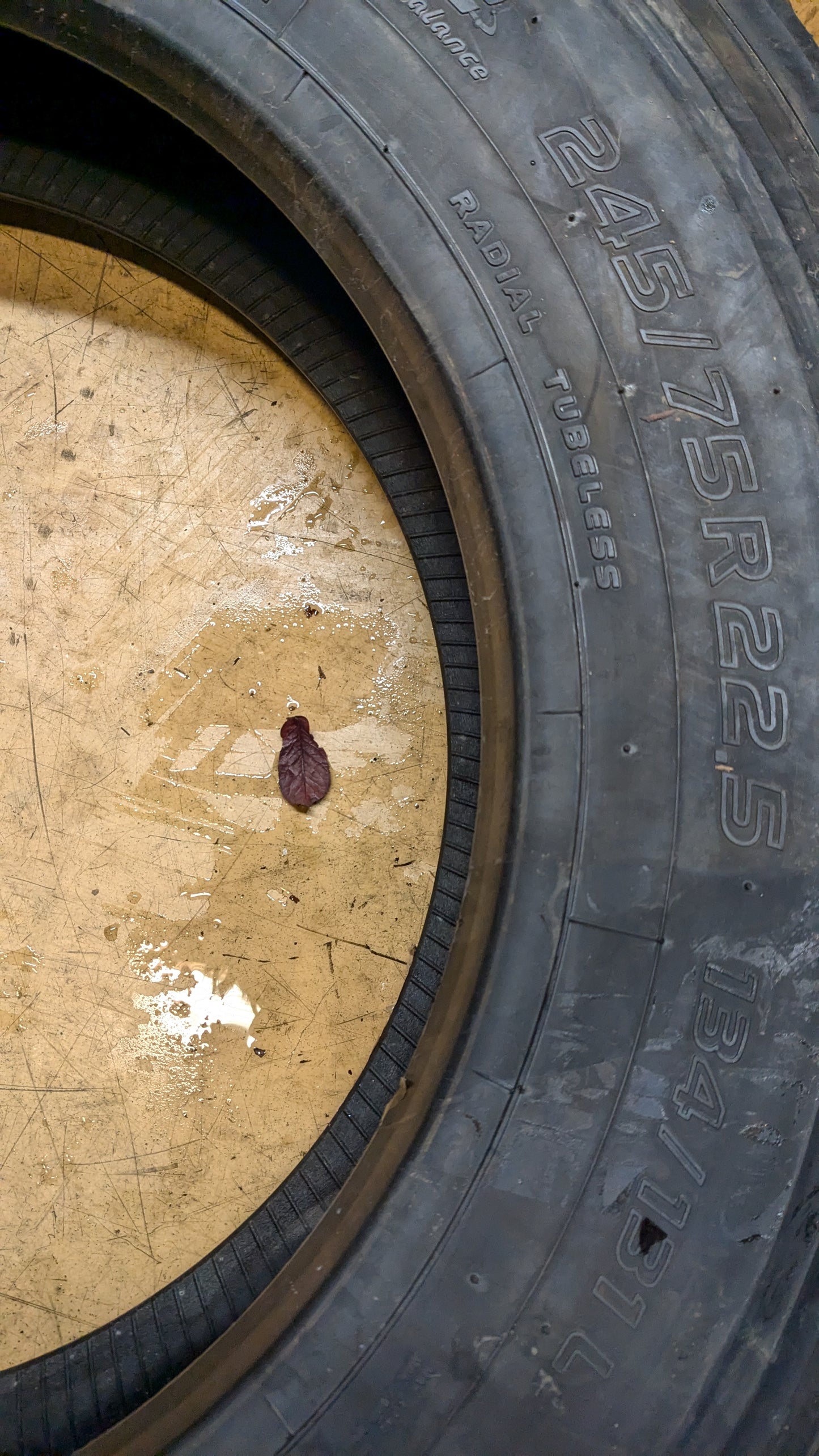 (KSL ONLY) TOYO M154 BSW LT 245 75 22.5 134/131L 14PLY ALL POSITION TIRE 548770